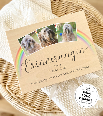 Erinnerungskiste Haustier - Trauer Geschenk - Multi Foto Rainbow