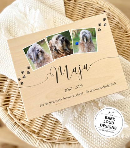 Erinnerungskiste Hund - Trauer Geschenk - Multi Foto Paws