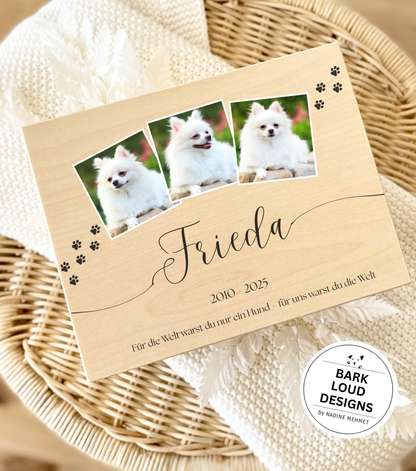 Erinnerungskiste Hund - Trauer Geschenk - Multi Foto Paws