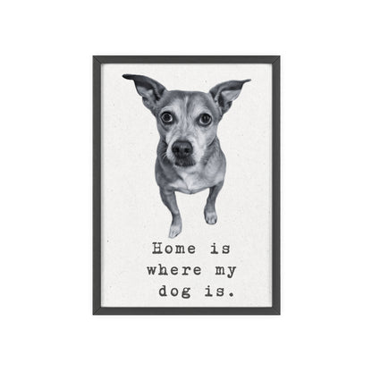 Personalisiertes Poster mit deinem Haustier - Black & White