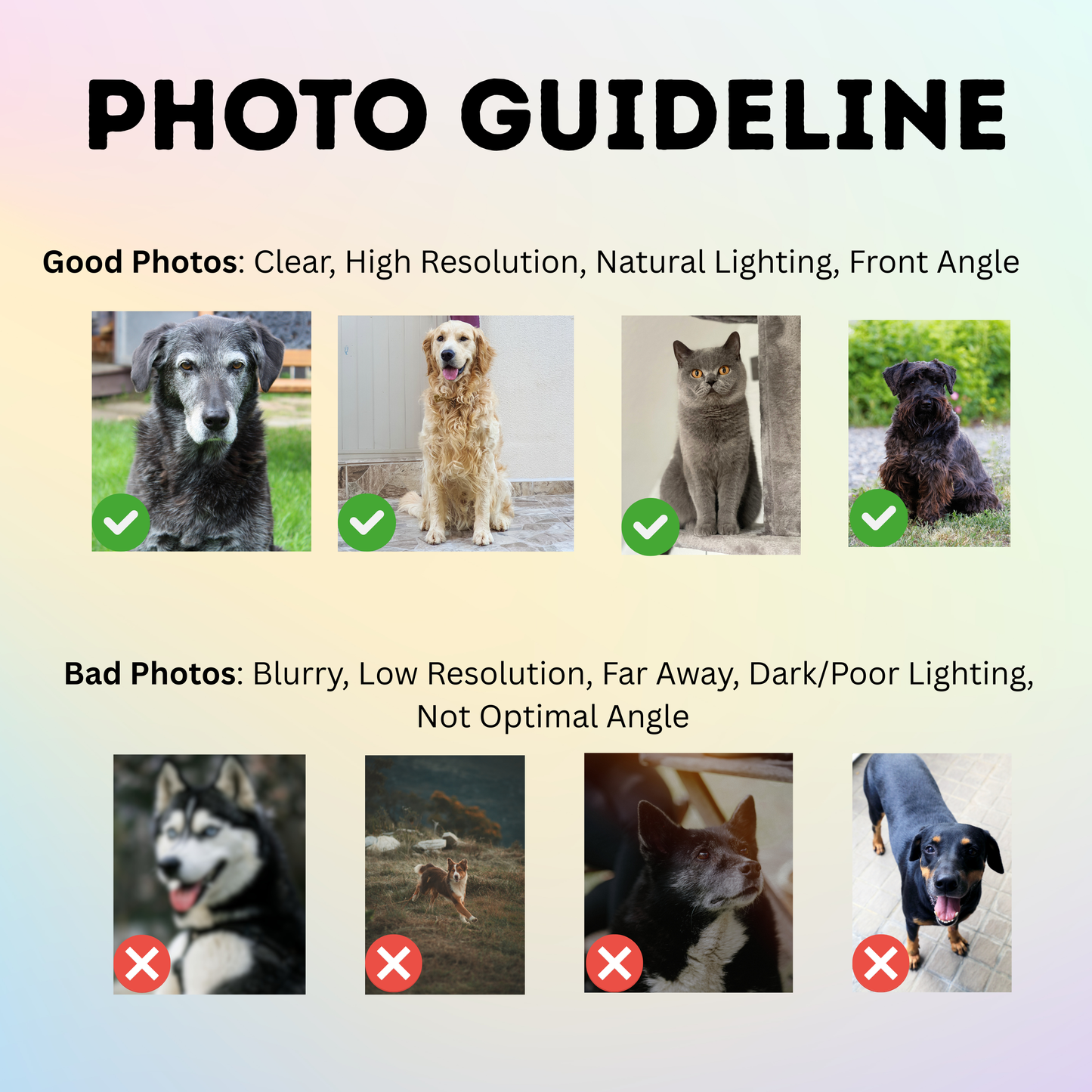 Personalisierte Fototasse Haustier mit Name