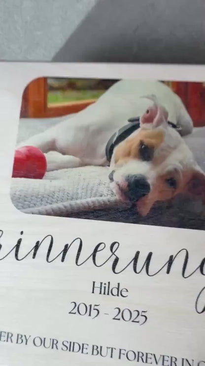 Erinnerungskiste Haustier - Trauer Geschenk - Single Foto Rainbow